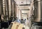 Patritti: el renacer de una bodega en San Patricio del Chañar