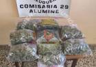ALUMINE: Incautan casi 1 kg de marihuana en encomienda en la terminal de ómnibus 