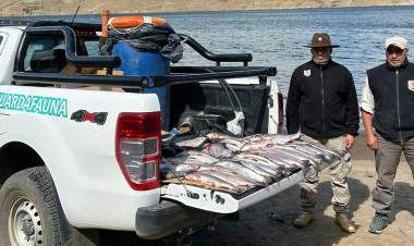 Pescadores y cazadores podrán recuperar sus elementos secuestrados