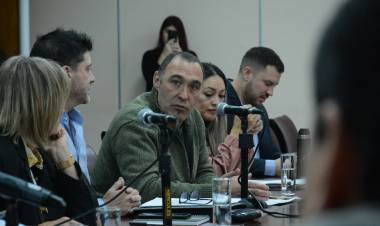 Darío "Pampa" Peralta y Darío Martínez impulsan Ley para prohibir los dobles cargos en el Gobierno de la Provincia