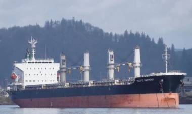 Viruela del mono en Argentina: aislaron a un buque en Río Paraná por síntomas en su tripulación