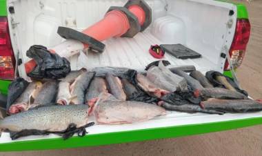 La dirección de Fauna secuestró 21 truchas