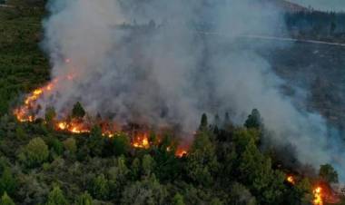 Incendio en Bariloche: llegaron las lluvias, pero se esperan ráfagas de viento para las próximas horas