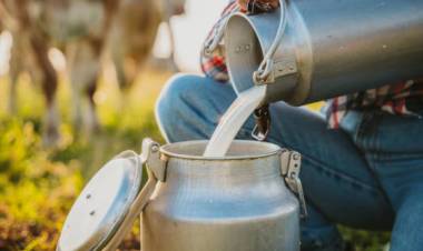 Crisis en Córdoba: una conocida empresa láctea despidió a 300 empleados