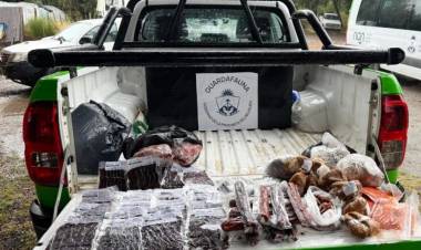 El área de Fauna Infraccionó comercios en Villa Traful