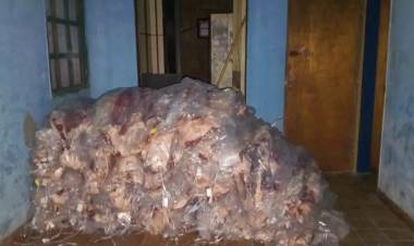 Decomisaron más de 3.200 kilos de carne ilegal valuada en 65 millones de pesos