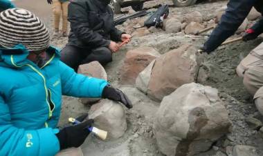 Cómo fue el descubrimiento del Kostensuchus atrox, el cocodrilo feroz de 70 millones de años en la Patagonia