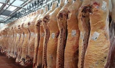 “La carne no subió y no debería subir por la barrera sanitaria” expresó José Luis Bunter, referente de la industria cárnica