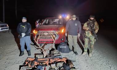 Controles simultáneos en la región de caza ilegal.