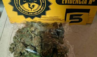 Allanamiento y secuestro de droga en Cutral Co 