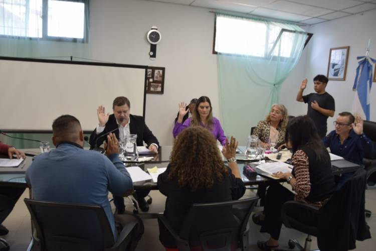 El Concejo Deliberante de la ciudad de Plaza Huincul aprobó las siguientes Ordenanzas