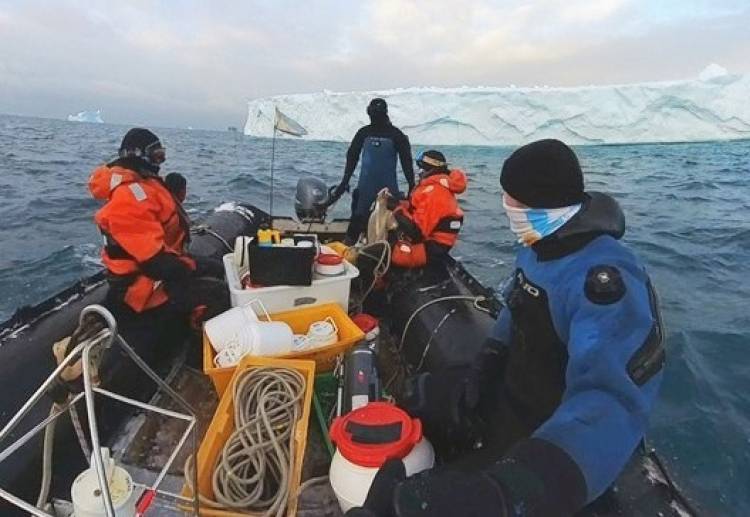 Graduadas de la UNCo desarrollan tarea científica en la Base Carlini en la Antártida