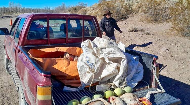 Fauna secuestró choiques y truchas a cazadores y pescadores furtivos