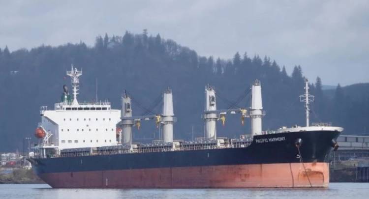 Viruela del mono en Argentina: aislaron a un buque en Río Paraná por síntomas en su tripulación