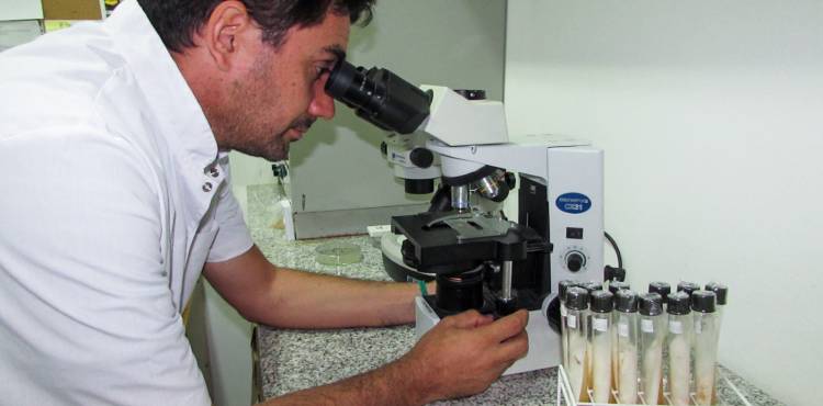 22 laboratorios de la Provincia con medidas de fuerza