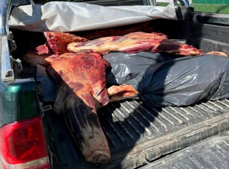 Decomisan 220 kg de carne en Junín de los Andes por irregularidades sanitarias