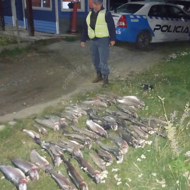 Incautan truchas en operativo de control de ruta 40 