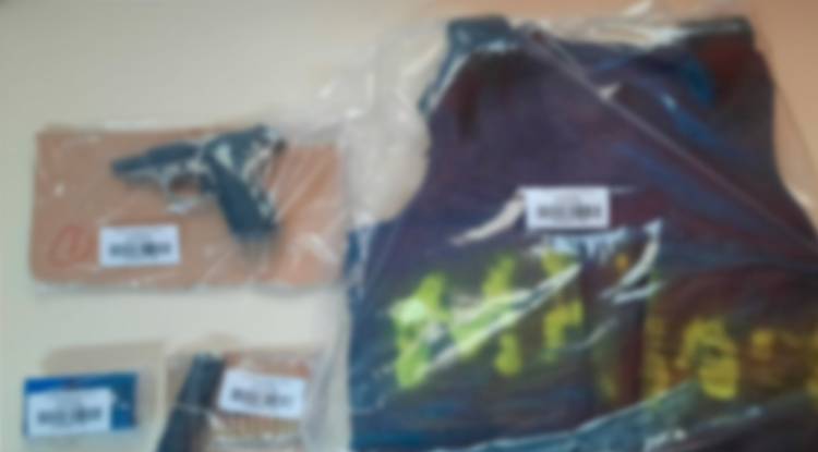 Secuestran arma de fuego y municiones en allanamiento en Plaza Huincul 