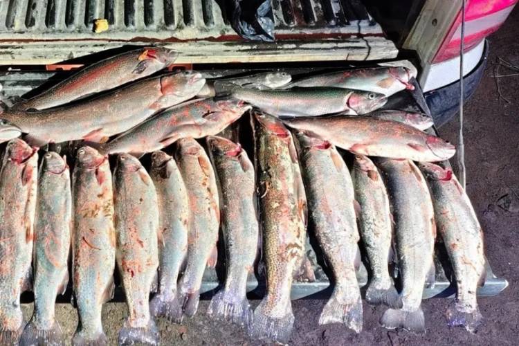 Detectaron a pescadores furtivos en el embalse Alicurá