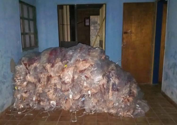 Decomisaron más de 3.200 kilos de carne ilegal valuada en 65 millones de pesos