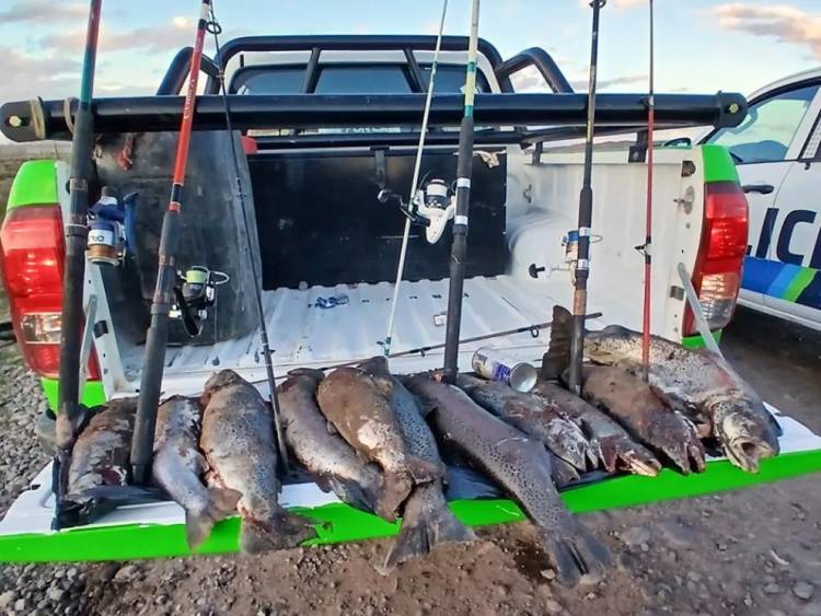 Realizaron infracciones a cazadores y pescadores furtivos