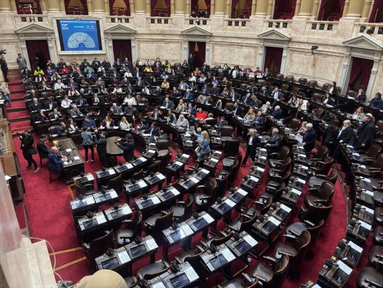 Otro golpe para el Gobierno: se votó en Diputados con los dos tercios la emergencia del Garrahan