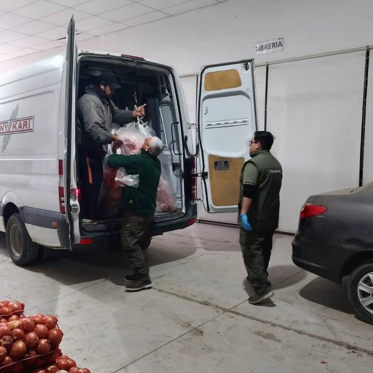 Senillosa: decomiso de más de 890 kilos de carne vacuna.