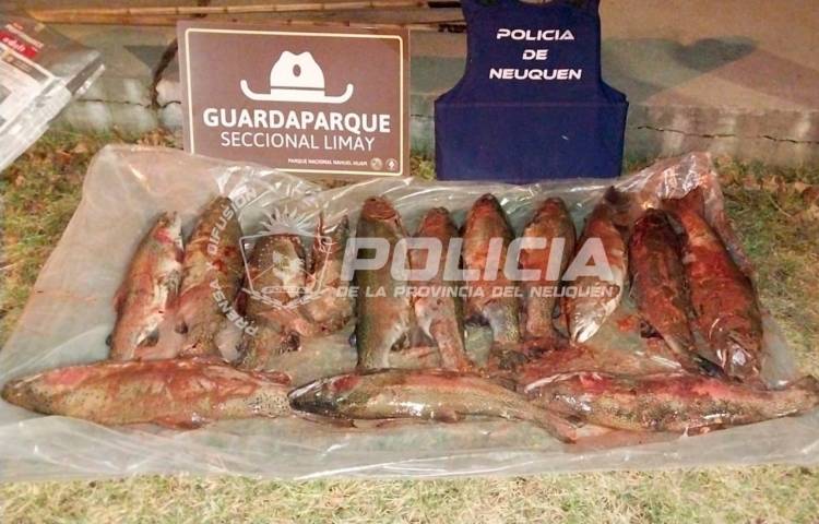 Secuestran 14 truchas en un control vehicular