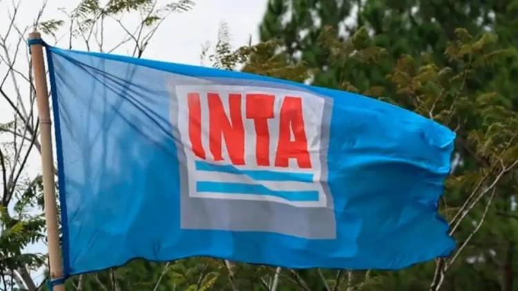 Otro revés judicial: frenan los 300 despidos en el INTA y advierten una multa millonaria al Gobierno en caso de no cumplir