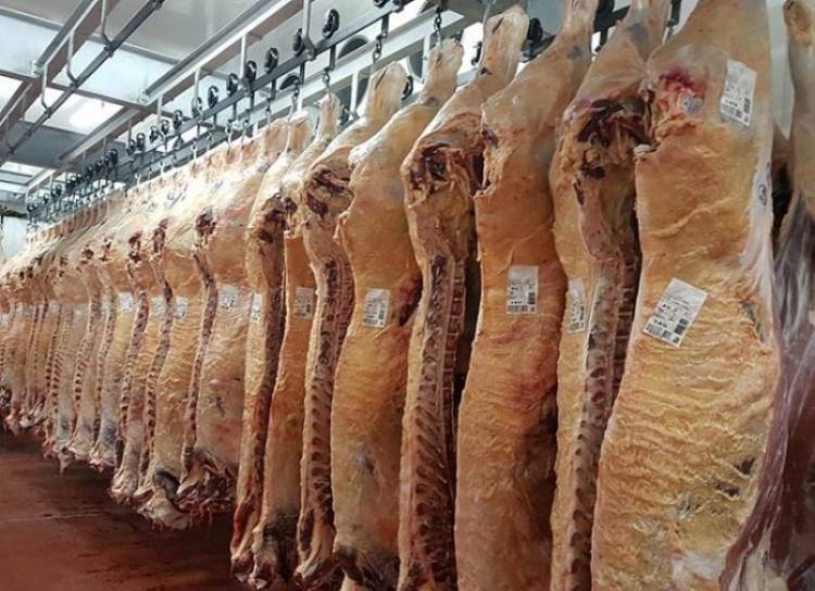 “La carne no subió y no debería subir por la barrera sanitaria” expresó José Luis Bunter, referente de la industria cárnica