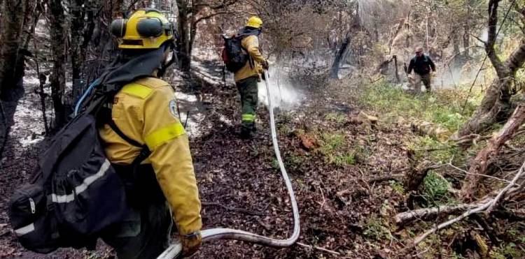 Se declaró la emergencia ígnea en Río Negro
