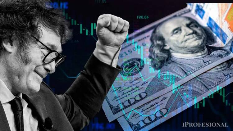 La peor inversión de la era Milei: cuánto perdió el que compró dólares desde que asumió el Gobierno