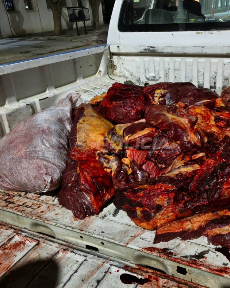 LAS COLORADAS / ZAPALA Secuestran más de 200 kilos de carne y armas en un procedimiento
