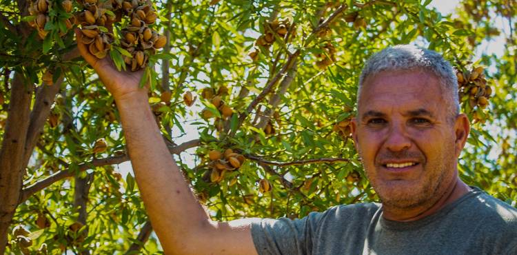 Fernando Barragán, de San Patricio del Chañar, indicó que comenzó con el cultivo de almendros hace siete años.