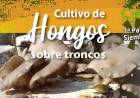 PLOTTIER Crece el Cultivo de Hongos en la Region 