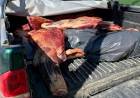 Decomisan 220 kg de carne en Junín de los Andes por irregularidades sanitarias