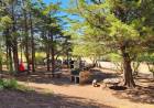 Habilitan el Camping Municipal de Villa El Chocón
