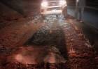LAS LAJAS “Fue algo nunca visto”: una manada de más de 20 jabalíes provocó un fuerte accidente cerca de Huarenchenque
