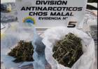 Otro golpe al narcotráfico: tenían un kilo de marihuana