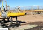 Fiscal realizó inspección en el yacimiento Rincón del Mangrullo