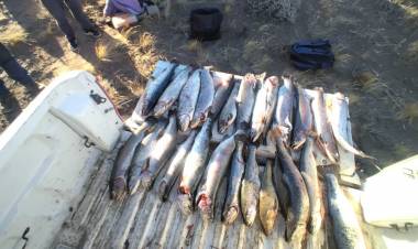 Guardafaunas detectaron actividad ilícita de pescadores en Piedra del Águila