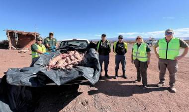 Se refuerzan los controles sanitarios en la zona de Vaca Muerta 