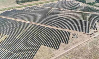 MSU inaugura su cuarto parque solar y avanza con inversiones por u$s650 millones