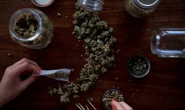 Preocupación por el consumo de marihuana en los jóvenes: