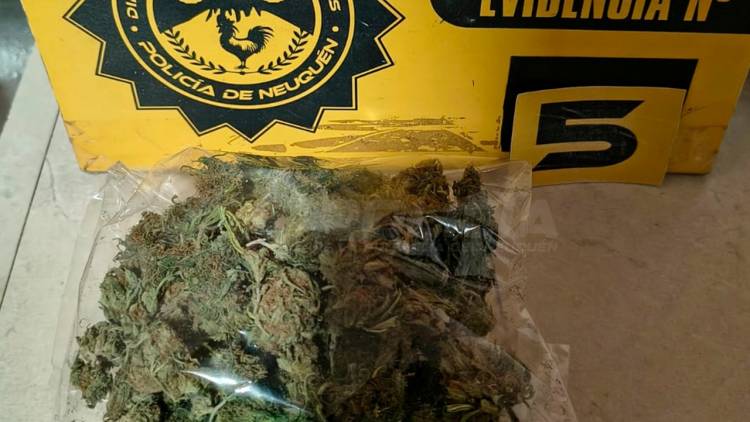 Allanamiento y secuestro de droga en Cutral Co 