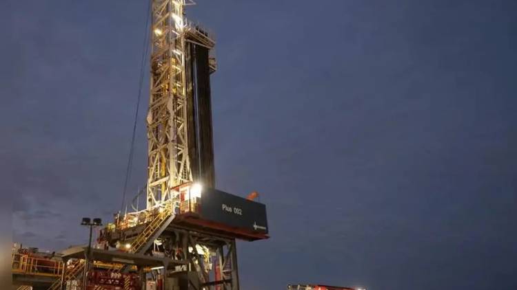 Vaca Muerta: Pluspetrol presentó una solicitud al RIGI para una inversión de u$s12.000 millones