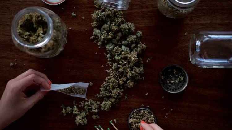 Preocupación por el consumo de marihuana en los jóvenes: