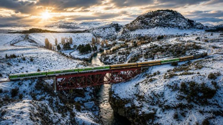 Tren Patagónico: ya están a la venta los pasajes para viajar en vacaciones de invierno, precios y cómo comprarlos