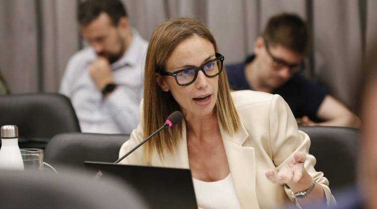 Tanya Bertoldi fue designada presidenta de la Upefe