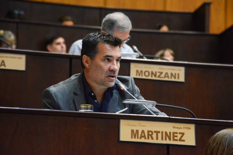 El DNU de Milei es inconstitucional y perjudica la vida de los neuquinos”